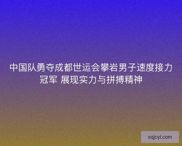 中国队勇夺成都世运会攀岩男子速度接力冠军 展现实力与拼搏精神